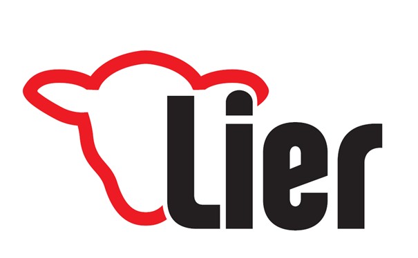 Lier